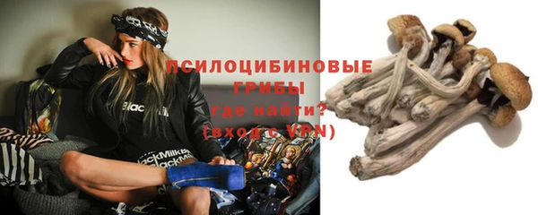 метадон Новозыбков