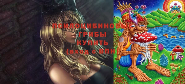 MDMA Новодвинск