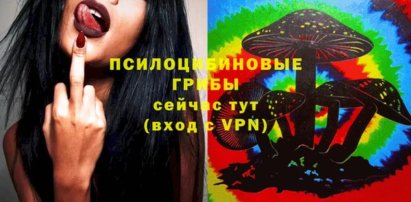 сатива Нягань