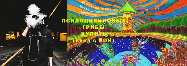 MDMA Новодвинск