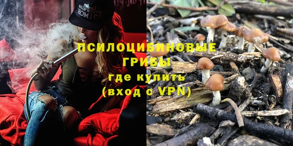 MDMA Новодвинск